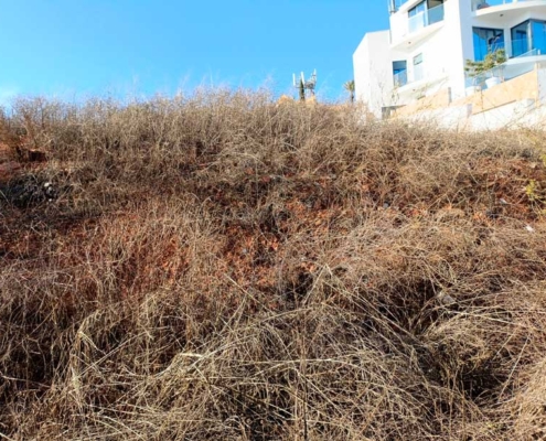 Parcela Urbana en Ayamonte