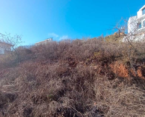 Parcela Urbana en Ayamonte